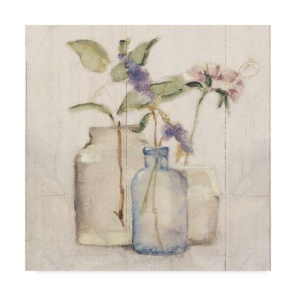 Cheri Blum 'Blossoms on Birch I' Canvas Art, 35x35, Trademark Fine Art, Mfr#: WAP02874-C3535GG